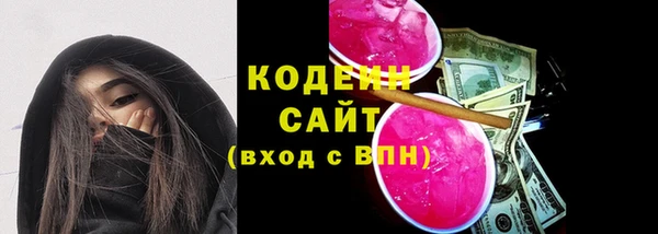 мет Инсар
