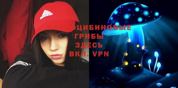 бутират Иннополис
