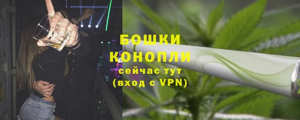бутират Иннополис