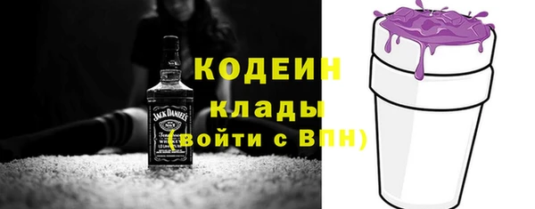 мет Инсар