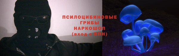 мет Инсар