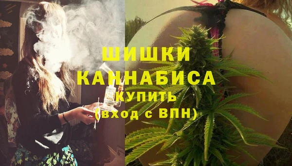 мет Инсар