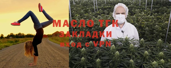 мет Инсар